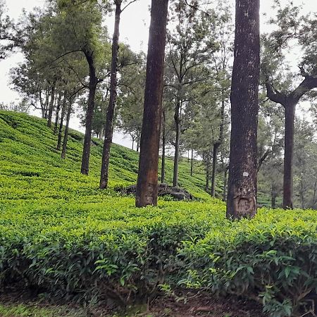 Woods Hut Apartment Nuwara Eliya Bagian luar foto