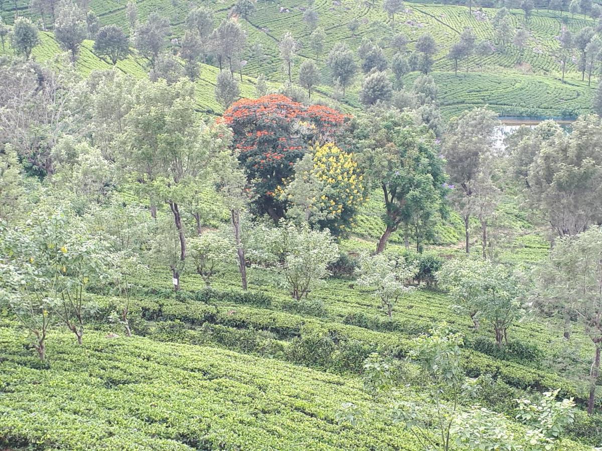 Woods Hut Apartment Nuwara Eliya Bagian luar foto