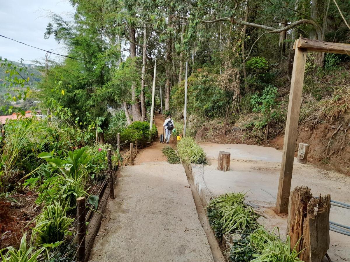 Woods Hut Apartment Nuwara Eliya Bagian luar foto