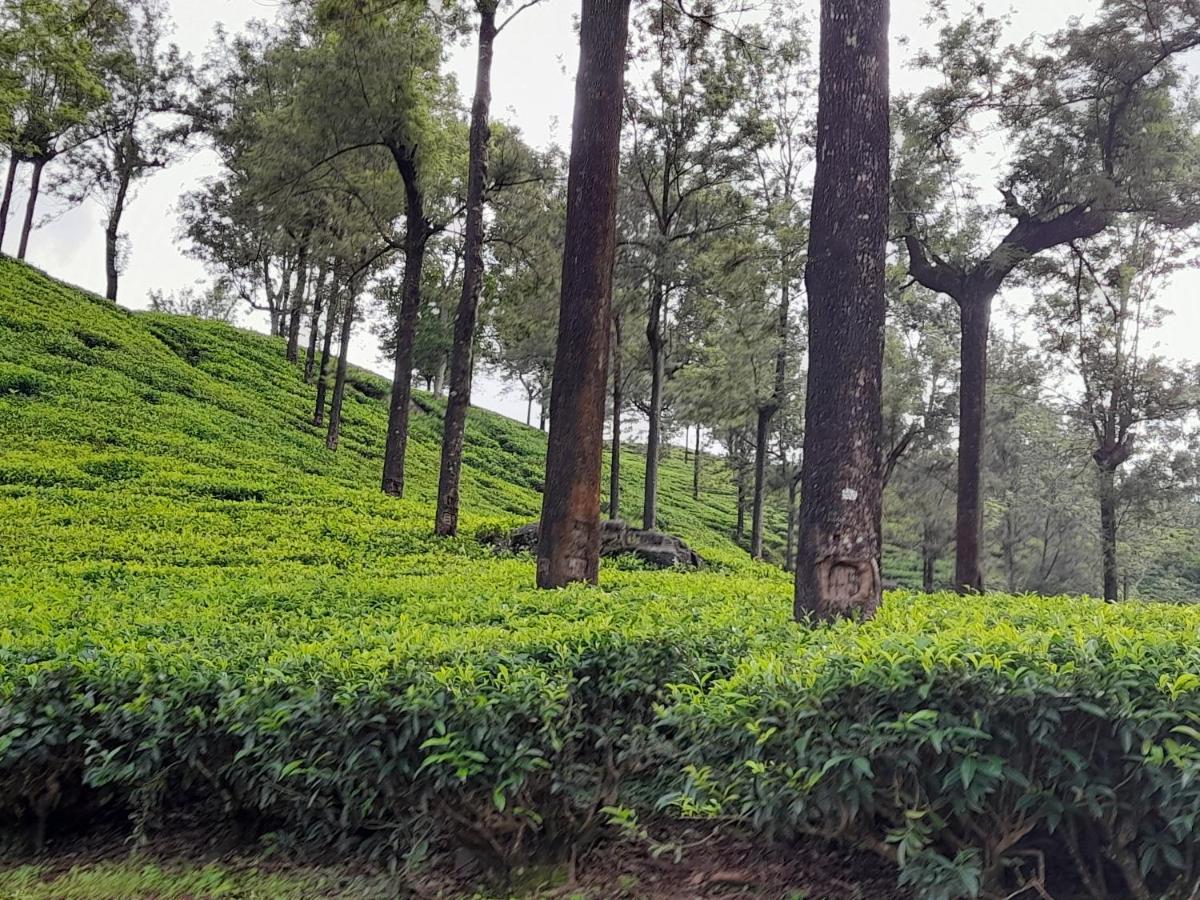Woods Hut Apartment Nuwara Eliya Bagian luar foto