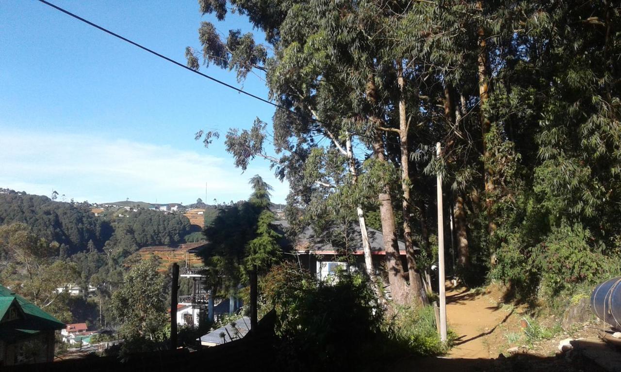 Woods Hut Apartment Nuwara Eliya Bagian luar foto